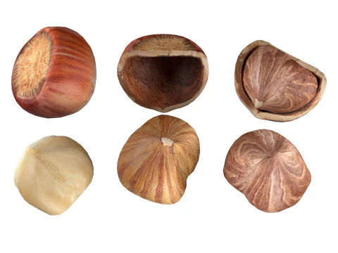 Collection de noisettes Modèle 3D