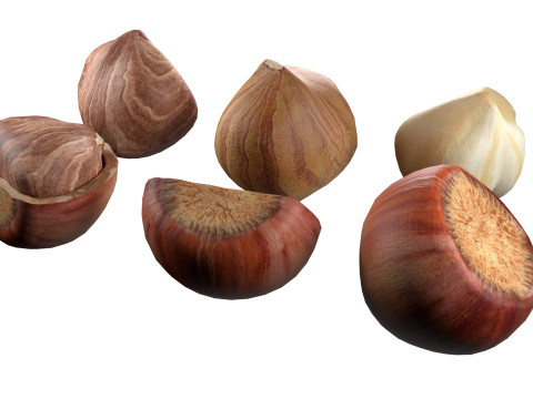 Hazelnut collection Modelo 3D