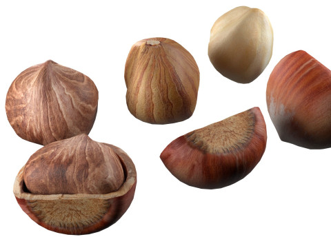 Hazelnut collection Modelo 3D