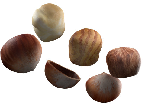 Hazelnut collection Modelo 3D