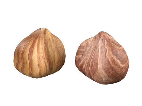 Hazelnut collection Modelo 3D