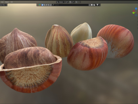 Hazelnut collection Modelo 3D