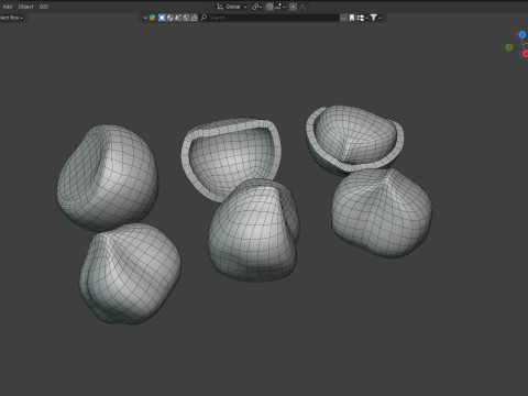 Hazelnut collection Modelo 3D