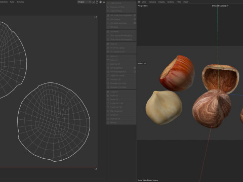 Hazelnut collection Modelo 3D