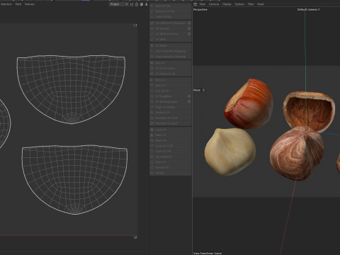 Hazelnut collection Modelo 3D