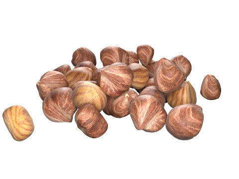 Hazelnut kernel pile Modelo 3D
