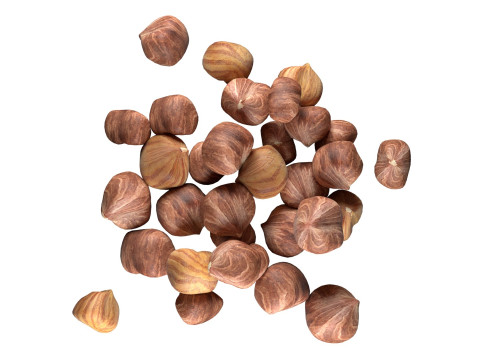 Hazelnut kernel pile Modelo 3D