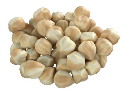 Hazelnut kernel white bowl Modello 3D