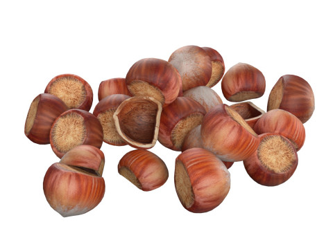 Hazelnut pile 3D Модель