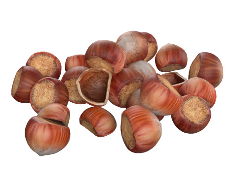 Hazelnut pile 3D Model