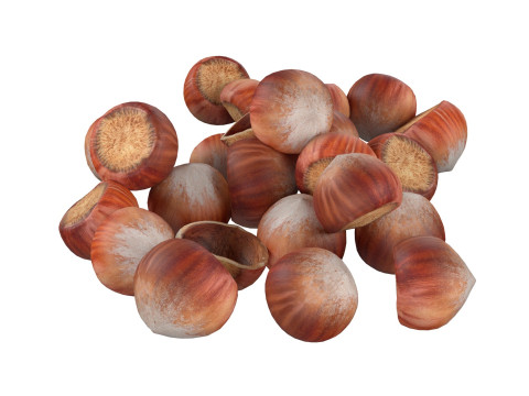 Hazelnut pile 3D Model