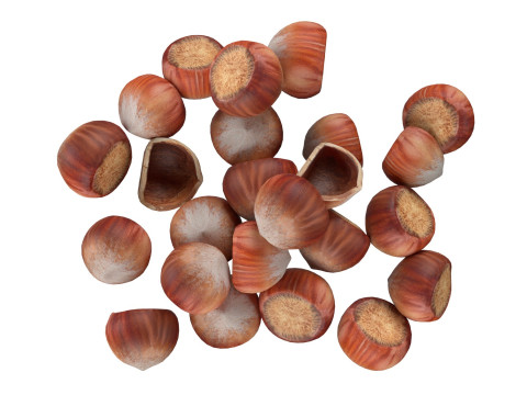 Hazelnut pile 3D Model