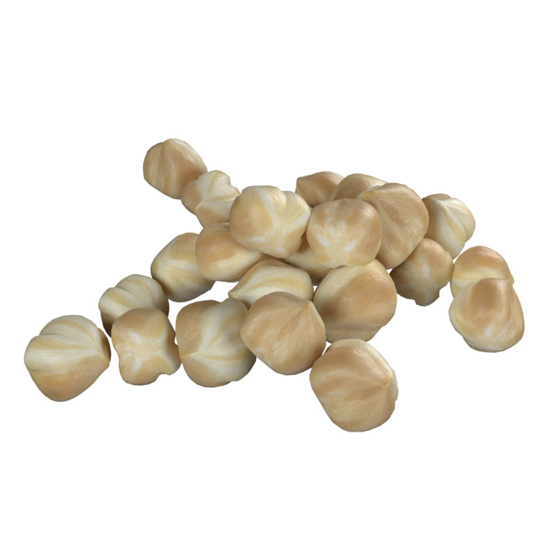 Hazelnut white pile 3D Model .c4d .max .obj .3ds .fbx .stl .blend 