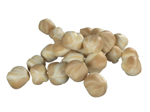 Hazelnut white pile 3D Модель