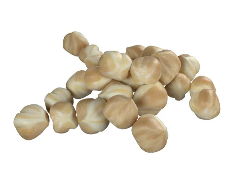 Hazelnut white pile 3D Model