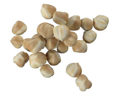 Hazelnut white pile 3D Model