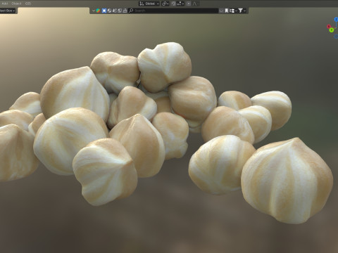 Hazelnut white pile 3D Model