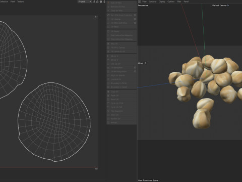 Hazelnut white pile 3D Model