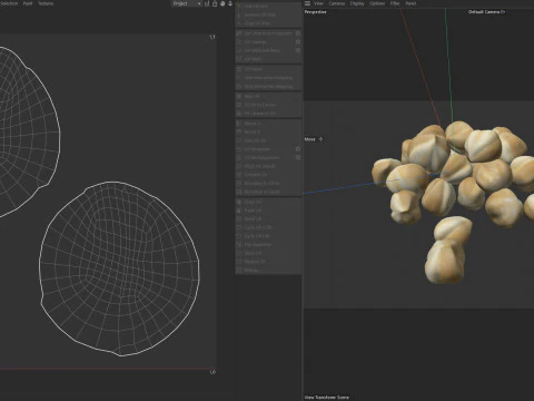 Hazelnut white pile 3D Model