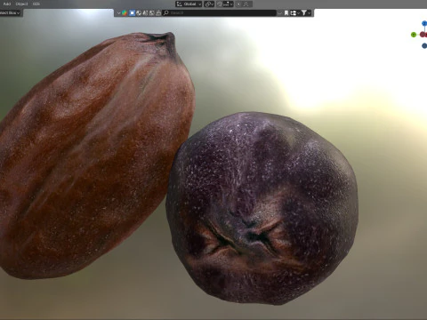 Semente de jojoba Modelo 3D