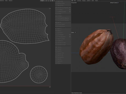 Semente de jojoba Modelo 3D