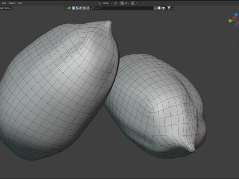 Jojoba seed Modelo 3D