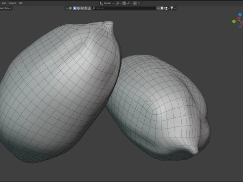 Semente de jojoba Modelo 3D