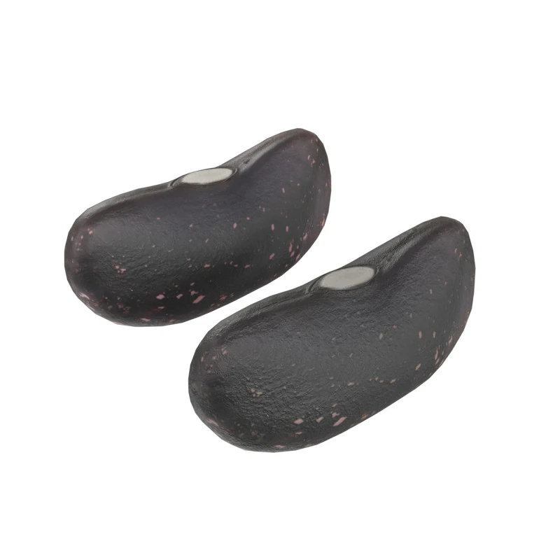 Feij&atilde;o preto seco Modelo 3D .c4d .max .obj .3ds .fbx .stl .blend 