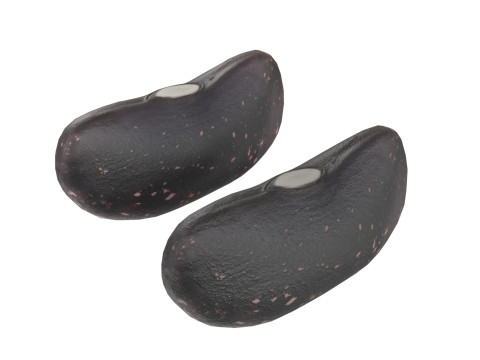 Black dry kidney beans 3D Модель