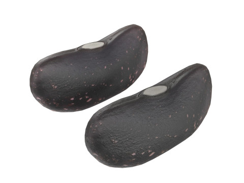Black dry kidney beans 3D मॉडल