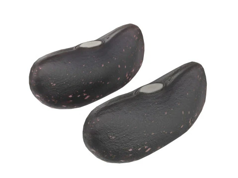 Feij&atilde;o preto seco Modelo 3D