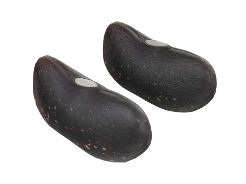Black dry kidney beans 3D मॉडल