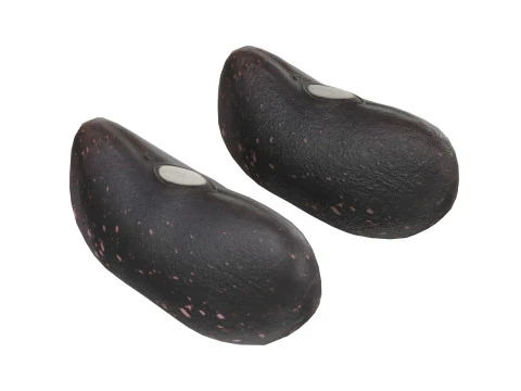 Feij&atilde;o preto seco Modelo 3D