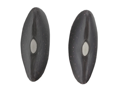 Black dry kidney beans 3D मॉडल