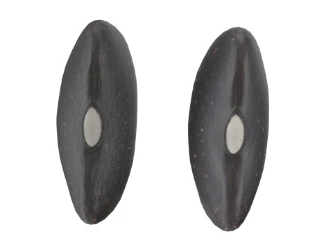 Feij&atilde;o preto seco Modelo 3D