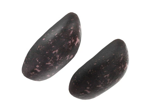 Feij&atilde;o preto seco Modelo 3D