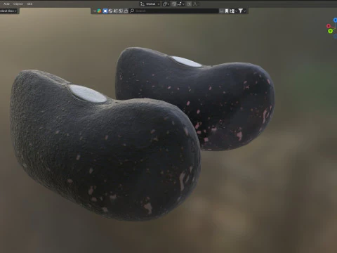 Feij&atilde;o preto seco Modelo 3D