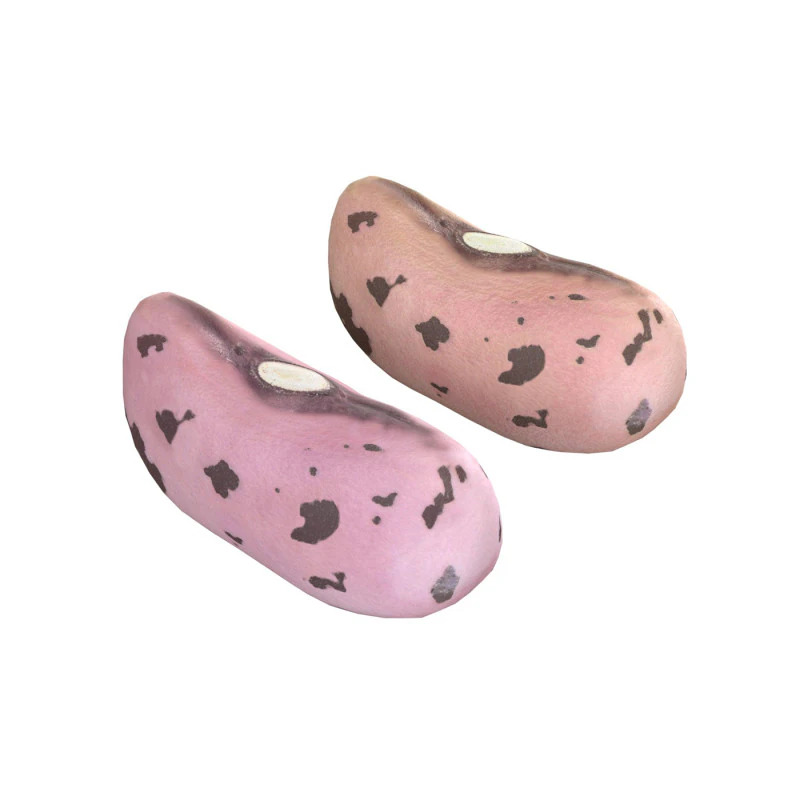 Feijão Borlotti com Cranberry Modelo 3D .c4d .max .obj .3ds .fbx .stl .blend