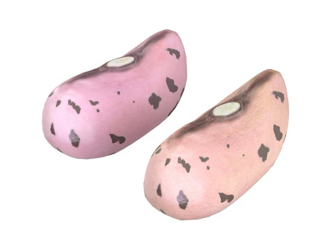 Feij&atilde;o Borlotti com Cranberry Modelo 3D