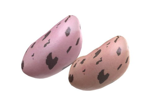 Cranberry Borlotti bean Modelo 3D