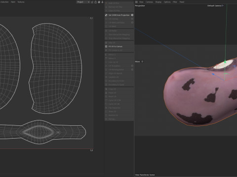 Cranberry Borlotti bean Modelo 3D