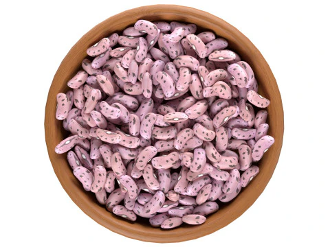 Tigela de feij&atilde;o Borlotti com cranberry Modelo 3D