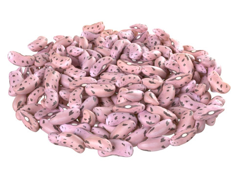 Cranberry Borlotti bean bowl Modelo 3D