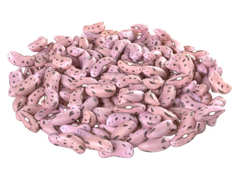 Tigela de feij&atilde;o Borlotti com cranberry Modelo 3D