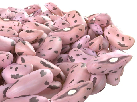 Tigela de feij&atilde;o Borlotti com cranberry Modelo 3D