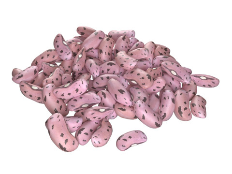 Cranberry Borlotti bean Pile 3D Модель