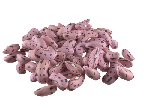 Pilha de feij&atilde;o Cranberry Borlotti Modelo 3D