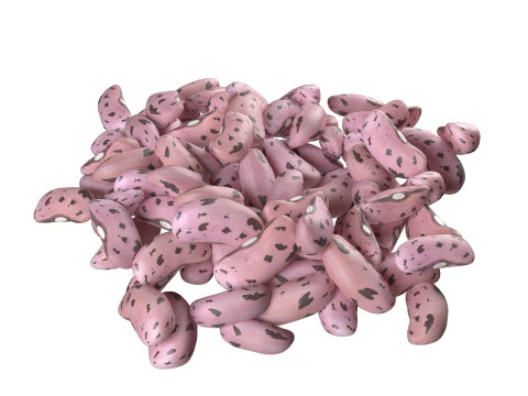 Pilha de feij&atilde;o Cranberry Borlotti Modelo 3D