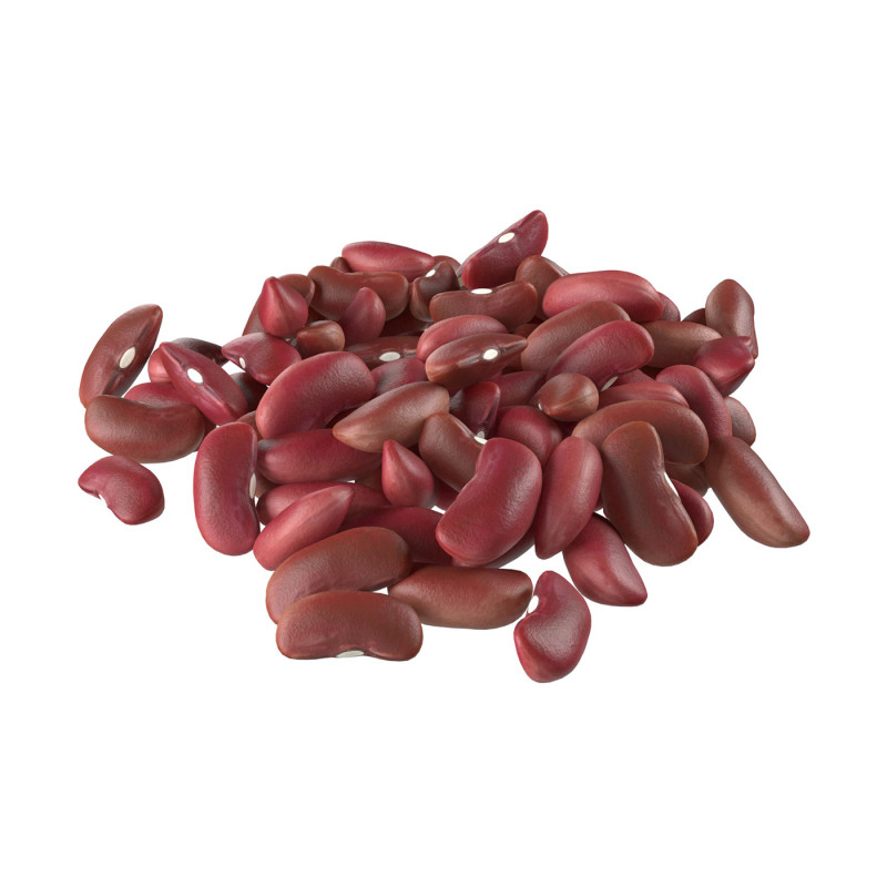 Kidney bean red pile Modelo 3D .c4d .max .obj .3ds .fbx .stl .blend