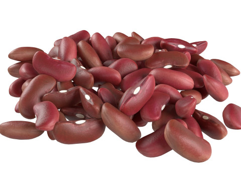 Kidney bean red pile Modelo 3D